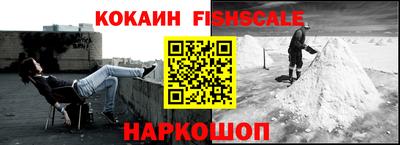 стаф Будённовск