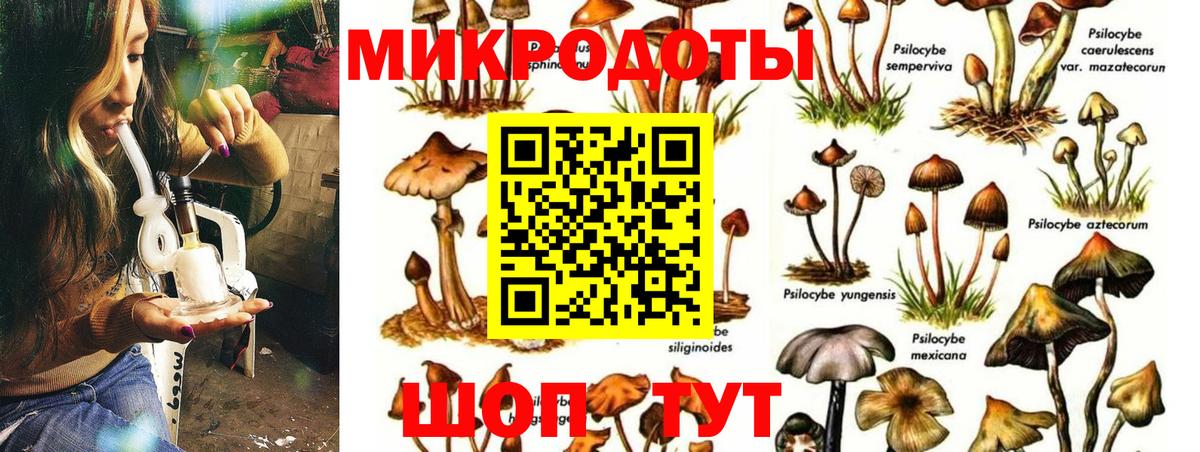 Ржев  Псилоцибиновые грибы GOLDEN TEACHER  Вход с VPN  Псилоцибиновые грибы MAGIC MUSHROOMS 