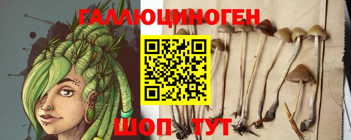 Псилоцибиновые грибы мицелий Ржев